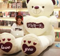 毛绒玩具大熊公仔睡觉床上抱枕熊猫娃娃抱抱熊女孩礼物特大号玩偶