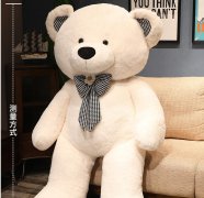 抱抱熊公仔泰迪熊布娃娃毛绒玩具超大玩偶熊猫大熊女孩特大号抱枕